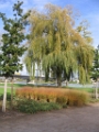 05 Jardin des 2 rives